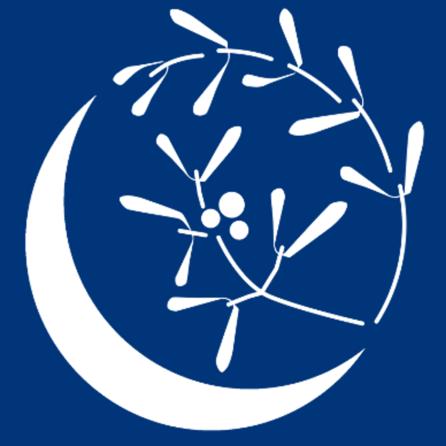 Logo CFA Fortuna